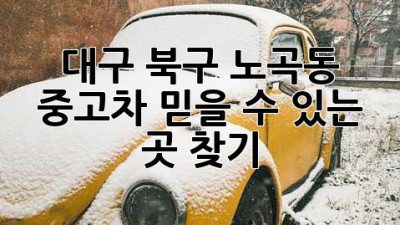 대구 북구 노곡동 중고차 믿을 수 있는 곳 찾기